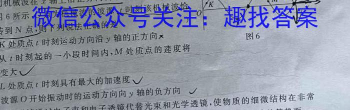 天一大联考 河南省2023-2024学年九年级学业水平诊断(一)数学