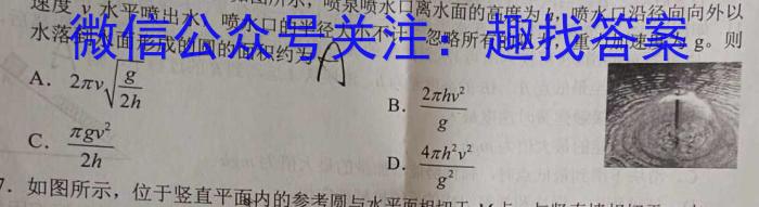 名校教研联盟 2024届高三5月大联考数学