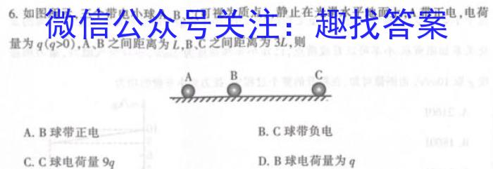 天一大联考2023-2024学年高中毕业班阶段性测试(八)数学