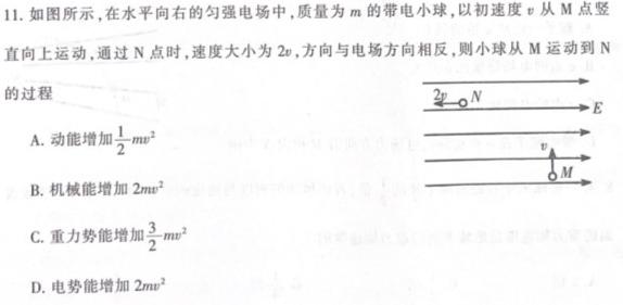 2023-2024学年河北省高一年级期末考试(24-331A)数学.考卷答案