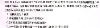 河北省2023-2024学年度高二年级上学期12月联考（台灯·河北）数学.考卷答案