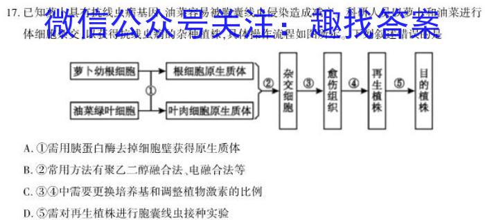 2024届湖南省高三8月联考生物