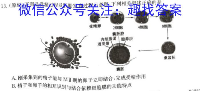 2024届江苏省南京市师范大学附属中学高三暑假检测生物