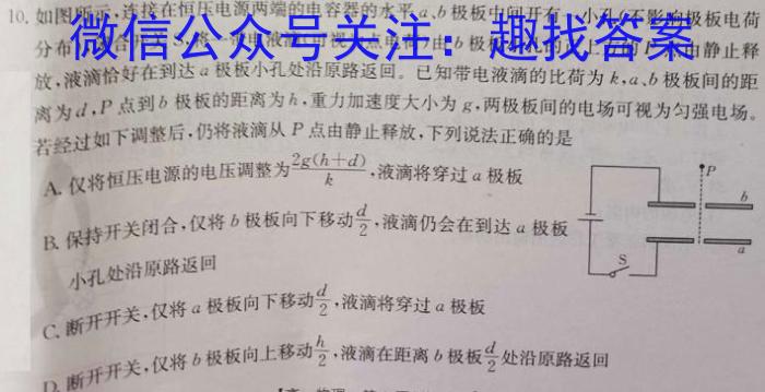 河北省2024年九年级6月模拟（四）数学