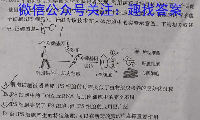 2024届贵州省六校联盟高考实用性联考(一)生物