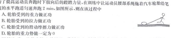 安徽省县中联盟2025届高二12月联考数学.考卷答案