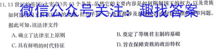 炎德 英才大联考2024届高三暑假作业检测试卷(CJ)&政治