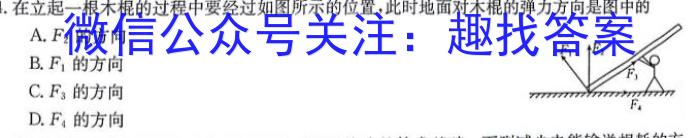 [沈阳三模]2024年沈阳市高中三年级教学质量监测(三)3数学