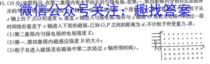 合肥名卷·2024届九年级S10联盟学科素养联考二数学