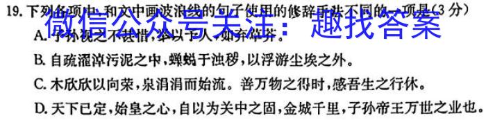 湖北省2024届高三年级8月联考（24-03C）语文