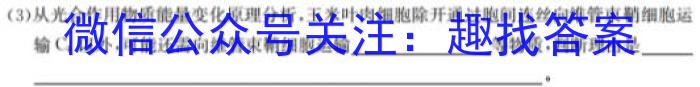湖北省2024届高三年级8月联考（24-03C）生物