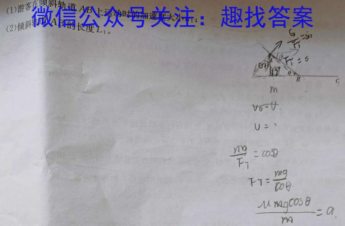 福建省2024届高三年级3月质量检测数学