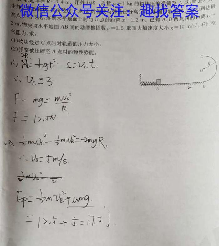 【菏泽一模】2024年高三一模考试数学