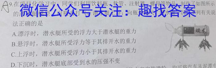 河北省2023-2024学年高一(上)质检联盟第四次月考(24-258A)数学