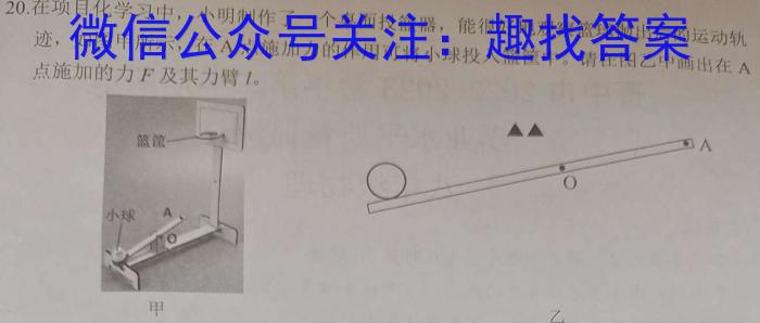 A10联盟2023-2024学年高二下学期6月联考数学