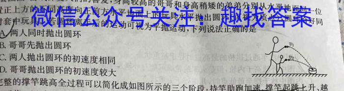 江西省新余市2023-2024学年度实验中学初三入学（考试）测试l物理