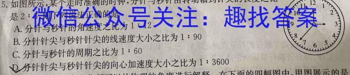 河北省沧州市2023-2024学年度九年级第一学期期中教学质量评估数学