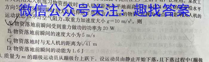 文海大联考2024届高三期中考试数学