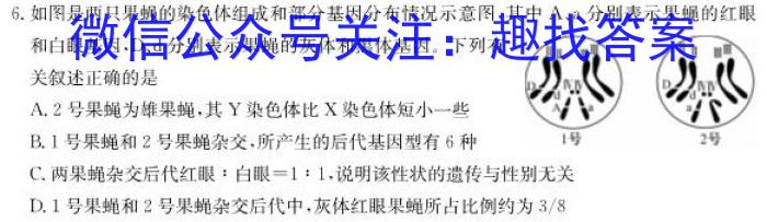 全国大联考 2024届高三第二次联考 2LK-Y生物
