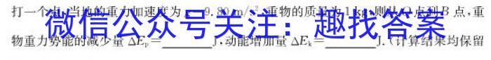 安徽省2024届同步达标自主练习·九年级第四次（期末）数学