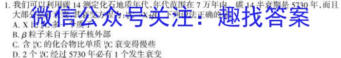 2024年普通高等学校招生全国统一考试·金卷