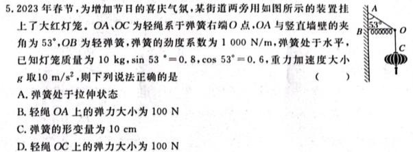 许昌市魏都区许昌高级中学2024-2025学年高三上学期开学检测试题(数学)