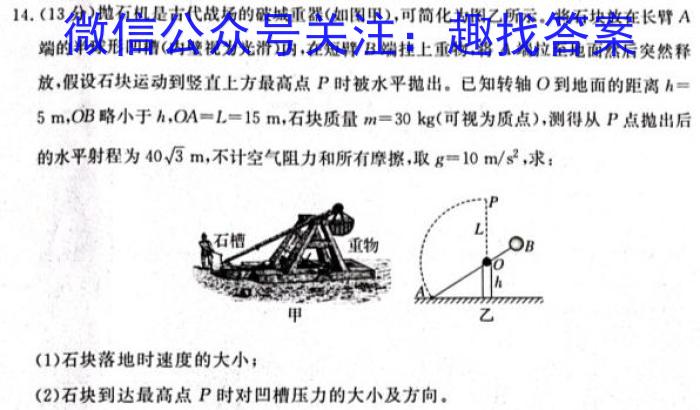 安徽省埇桥区教育集团2023-2024学年度九年级第一学期期末质量检测数学