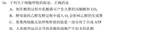 全国大联考2024届高三全国第一次联考 1LK-N生物
