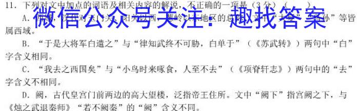 天一大联考·顶尖计划2024届高中毕业班第一次考试语文