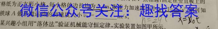 重庆市九校联盟2023-2024学年高二年级上学期12月联考数学考试卷