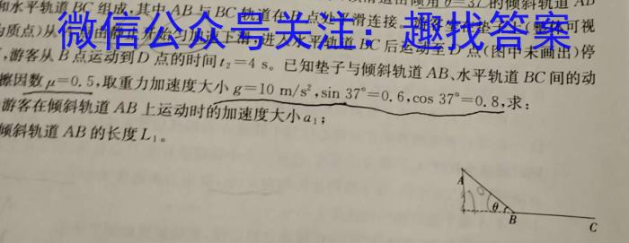 文博志鸿·2024届河北省九年级教学质量检测试题（B）数学