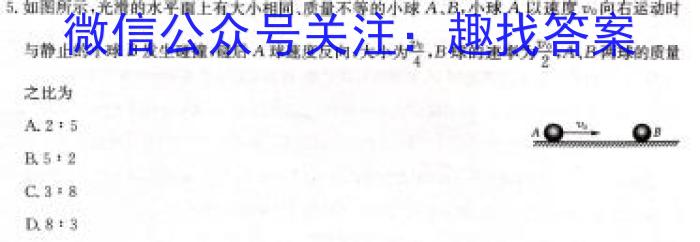 [邵阳二模]2024年邵阳市高三第二次联考试题卷数学