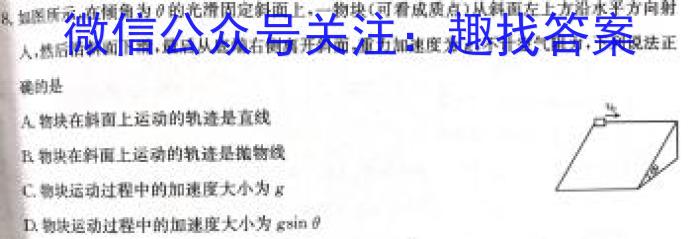 河南省2023-2024学年高二年级下学期5月质量检测(24645B)数学