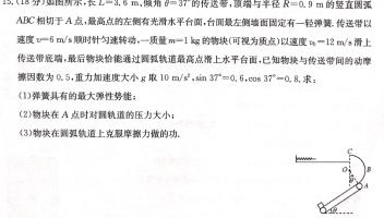 陕西省2023~2024学年度八年级期末教学素养测评(八)