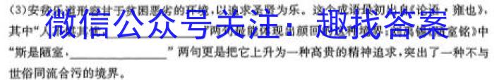 江淮十校2024届高三第一次联考（8月）化学试卷及参考答案语文