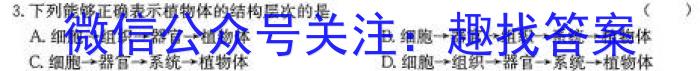 湖北省2024届高三年级8月联考（24-03C）&政治