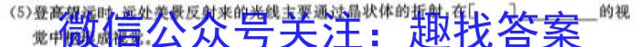 山东省菏泽市成武县南鲁学校2023-2024学年度九年级上学期开学考试q地理