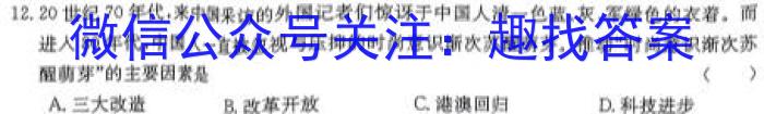 山西省临汾市襄汾县2022-2023学年度第二学期素养形成期末调研测试（D套）历史