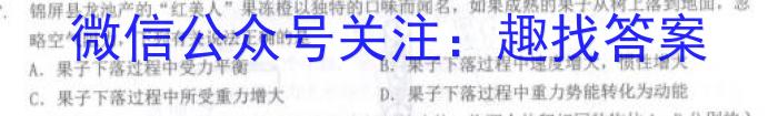 2024年安徽省初中学业水平考试名校联考(一)数学