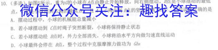 河北省2024届高三年级大数据应用调研联合测评七(Ⅶ)数学