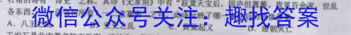 2024届江苏省南京市师范大学附属中学高三暑假检测历史