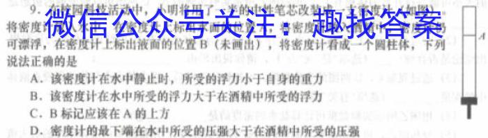 河南省2024年中考导航冲刺押题卷(九)数学