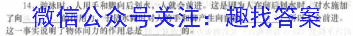 湖南省湘潭市2024年初中学业水平模拟考试数学h