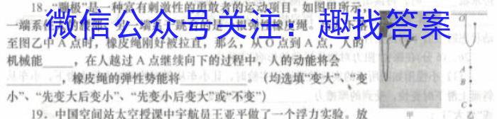 2024河南中考仿真模拟试卷（三）数学