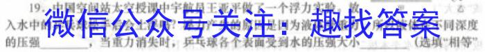 九师联盟2024届高三年级上学期1月期末联考数学