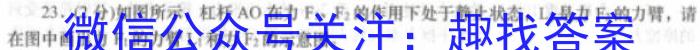 河南省2024届高三年级8月入学考试.物理