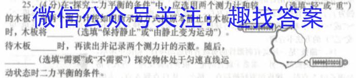 湖北省2023年十堰市实验中学新生入学测试适应性模拟试题（二）物理`