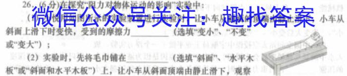 河南省临颍县2024年下学期第二次质量检测试卷数学