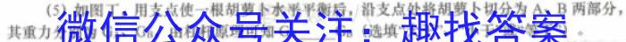 江门市2024届普通高中高三调研测试（10月）数学