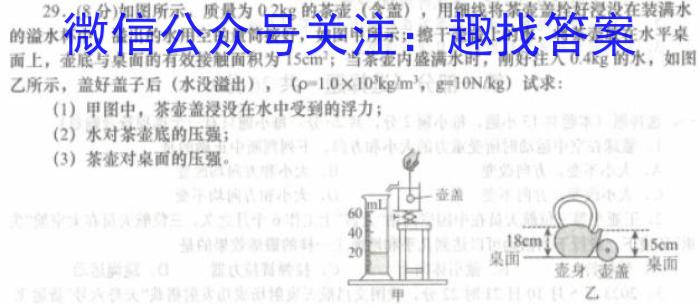 安徽省2023-2024学年度第二学期九年级阶段模考英语